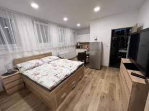 Apartmány U Jelena 1, Ceský Krumlov